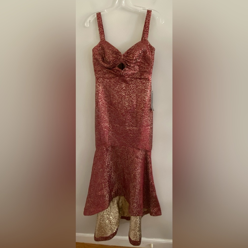 ML Monique Lhuillier Flounced Maxi Dress size 2p new with tag - Picture 7 of 9